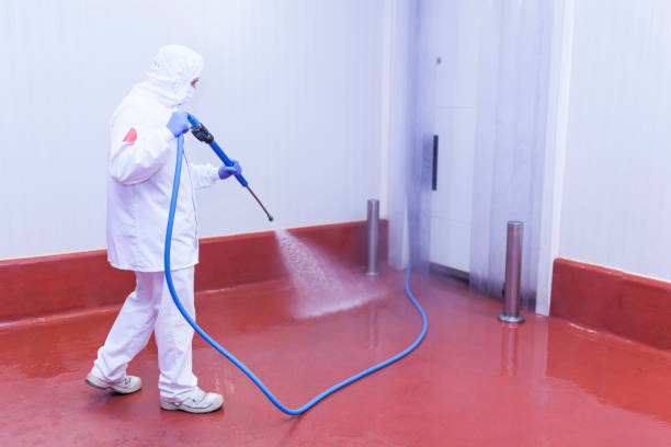 Best Driveway Cleaning and Restoration in Ilion, NY