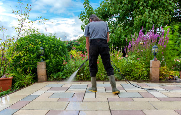 Best Pool Deck Cleaning in Ilion, NY