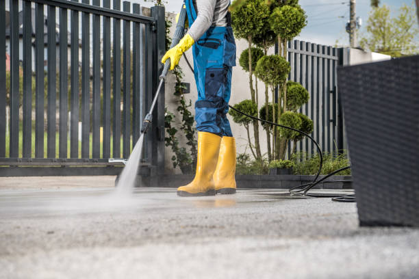 Best Window and Screen Pressure Cleaning in Ilion, NY